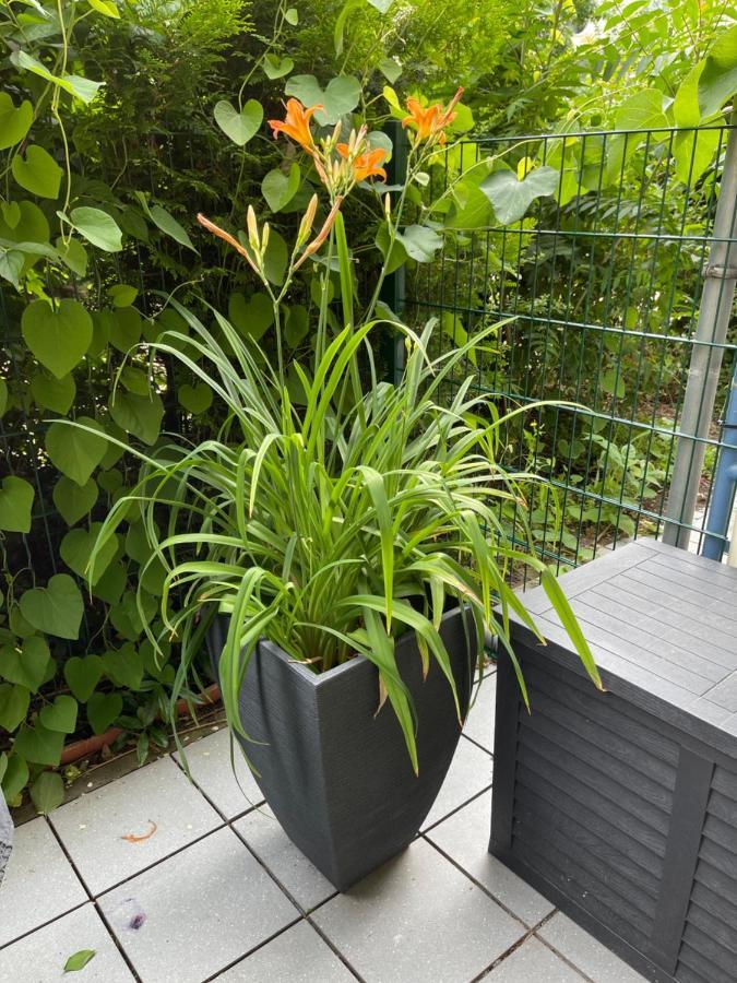 Sonnige Wohnung im Zentrum mit Terrasse u Tiefgarage - Netflix - Prime - Disney Leipzig Exterior foto